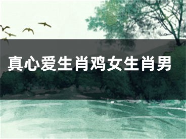 真心爱生肖鸡女生肖男
