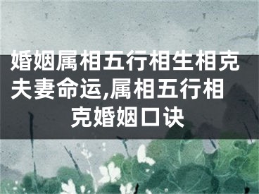 婚姻属相五行相生相克夫妻命运,属相五行相克婚姻口诀