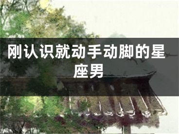 刚认识就动手动脚的星座男