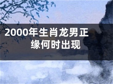 2000年生肖龙男正缘何时出现