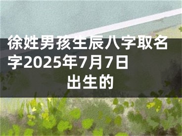 徐姓男孩生辰八字取名字2025年7月7日出生的