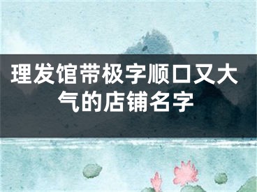 理发馆带极字顺口又大气的店铺名字