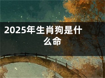 2025年生肖狗是什么命