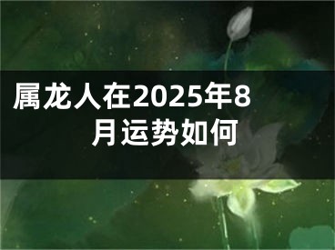 属龙人在2025年8月运势如何