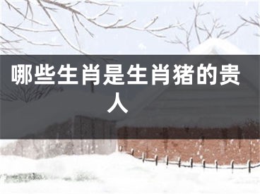 哪些生肖是生肖猪的贵人 