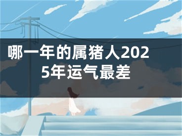 哪一年的属猪人2025年运气最差