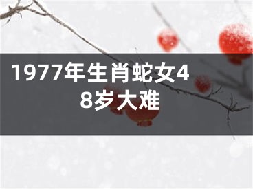 1977年生肖蛇女48岁大难