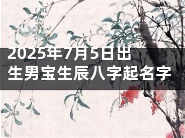 2025年7月5日出生男宝生辰八字起名字