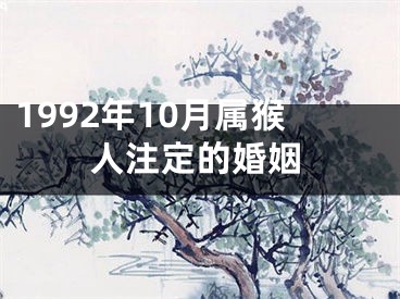 1992年10月属猴人注定的婚姻