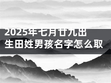 2025年七月廿九出生田姓男孩名字怎么取
