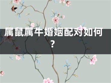 属鼠属牛婚姻配对如何?