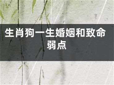 生肖狗一生婚姻和致命弱点