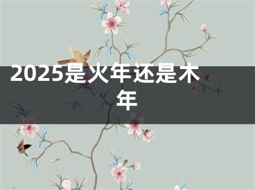 2025是火年还是木年
