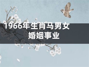 1966年生肖马男女婚姻事业