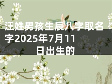 汪姓男孩生辰八字取名字2025年7月11日出生的