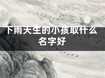 下雨天生的小孩取什么名字好