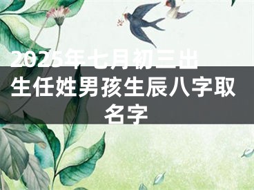 2025年七月初三出生任姓男孩生辰八字取名字