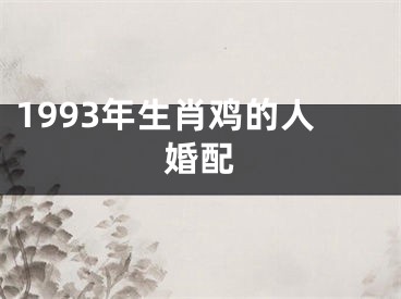 1993年生肖鸡的人婚配