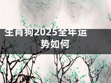 生肖狗2025全年运势如何