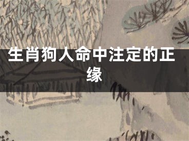 生肖狗人命中注定的正缘