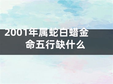 2001年属蛇白蜡金命五行缺什么