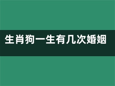 生肖狗一生有几次婚姻