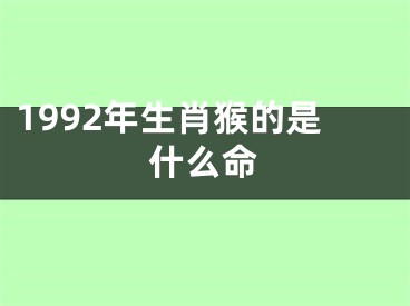 1992年生肖猴的是什么命