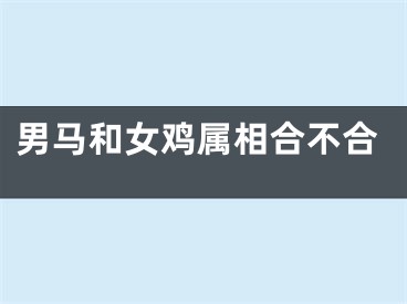 男马和女鸡属相合不合
