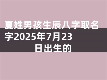 夏姓男孩生辰八字取名字2025年7月23日出生的