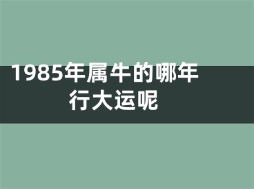 1985年属牛的哪年行大运呢 