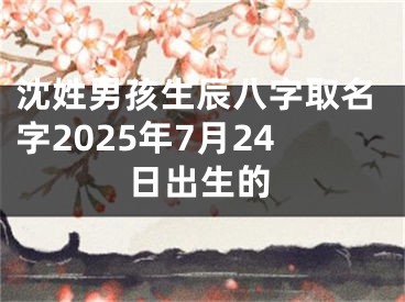 沈姓男孩生辰八字取名字2025年7月24日出生的