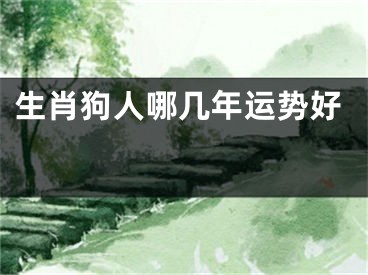 生肖狗人哪几年运势好 