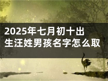 2025年七月初十出生汪姓男孩名字怎么取