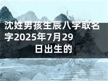 沈姓男孩生辰八字取名字2025年7月29日出生的