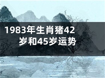 1983年生肖猪42岁和45岁运势