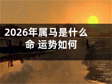 2026年属马是什么命 运势如何