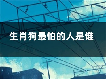 生肖狗最怕的人是谁