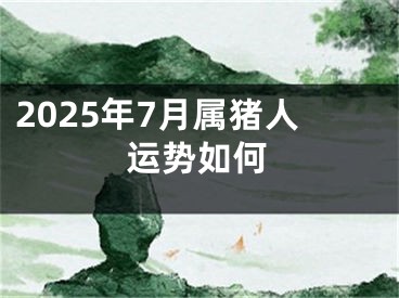 2025年7月属猪人运势如何