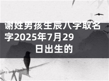 谢姓男孩生辰八字取名字2025年7月29日出生的