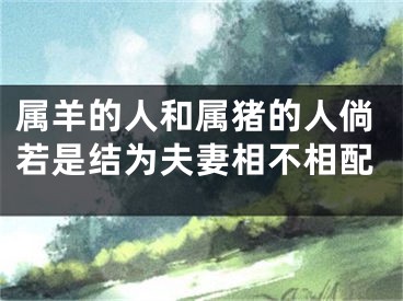 属羊的人和属猪的人倘若是结为夫妻相不相配