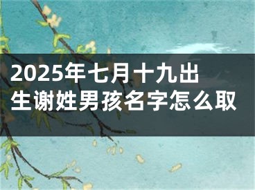 2025年七月十九出生谢姓男孩名字怎么取