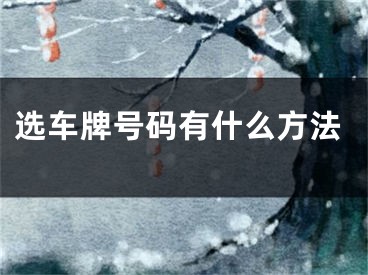 选车牌号码有什么方法
