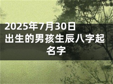 2025年7月30日出生的男孩生辰八字起名字