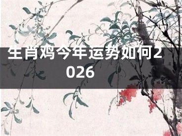 生肖鸡今年运势如何2026