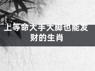 上等命大手大脚也能发财的生肖