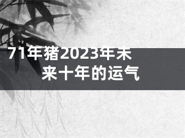 71年猪2023年未来十年的运气