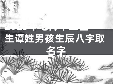 2025年七月十三出生谭姓男孩生辰八字取名字