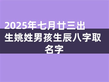 2025年七月廿三出生姚姓男孩生辰八字取名字