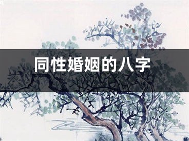 同性婚姻的八字