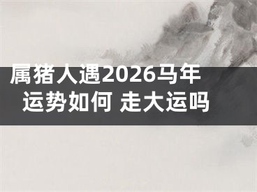 属猪人遇2026马年运势如何 走大运吗